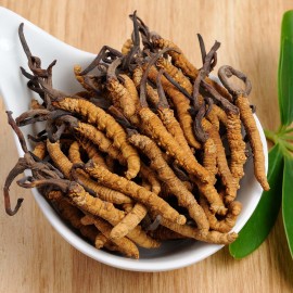 西藏那曲野生冬蟲夏草 (81-100)